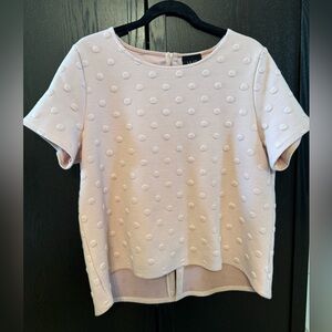 Polka Dot Light Pink Embroidered shirt